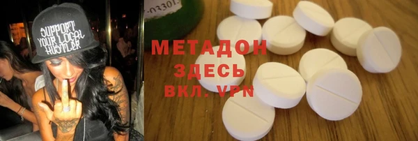 шишки Верея