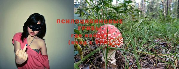 MDMA Premium VHQ Бугульма