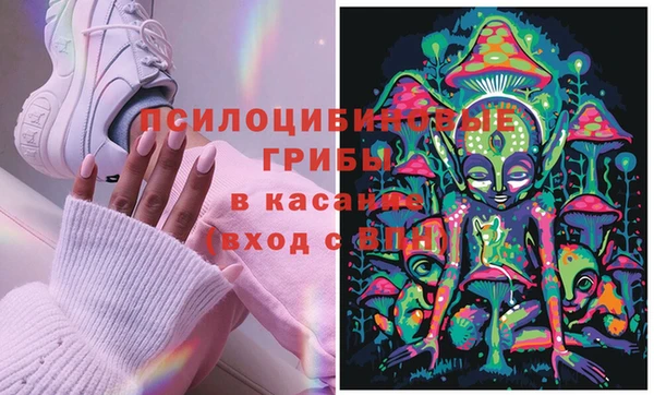 спиды Бородино